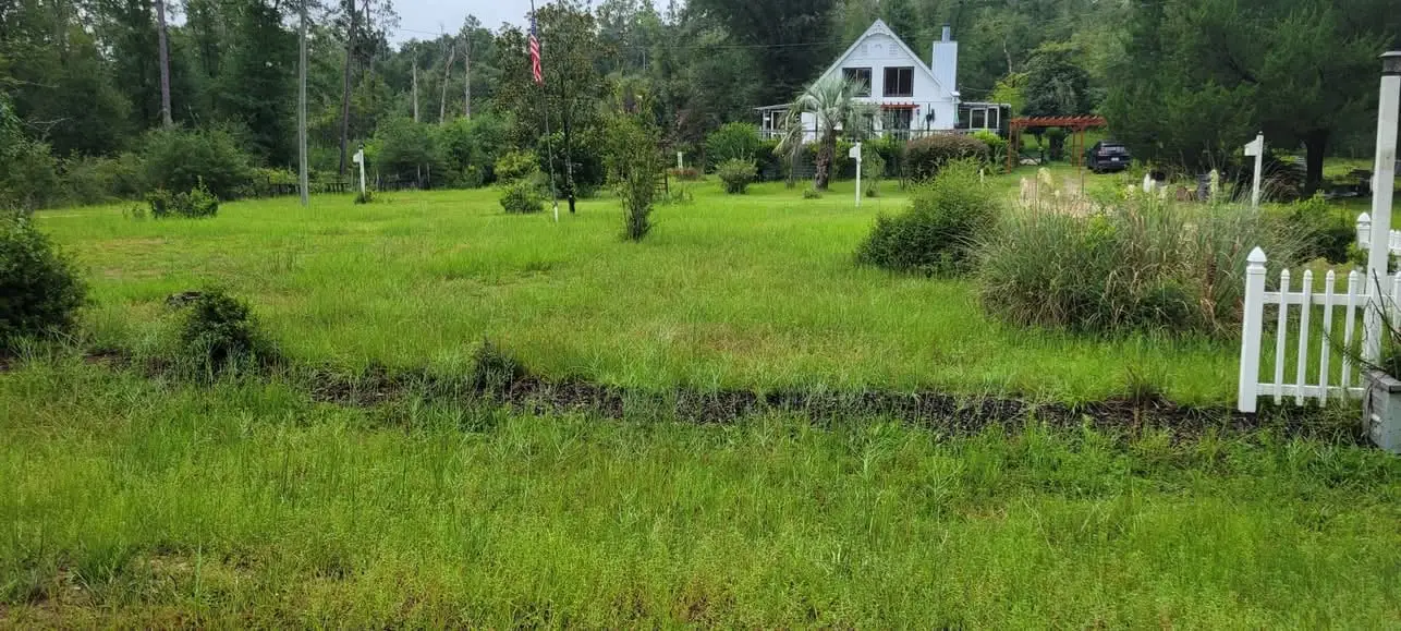 An acreage lot around a farmhouse in the Florida Panhandle with tall, overgrown summer grass before Faith Lawn Care cut it back