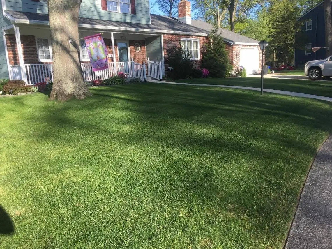 A thick, freshly cut and edged front lawn running out to the driveway of a Panhandle home