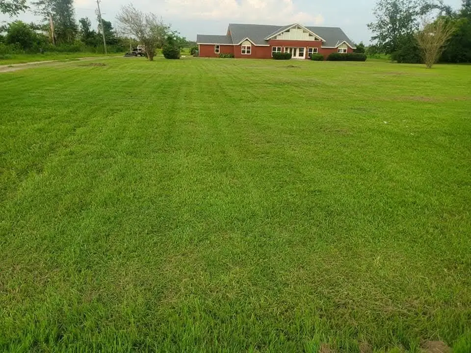 A large striped lawn in the Florida Panhandle, mowed by Faith Lawn Care, with a brick house in the background
