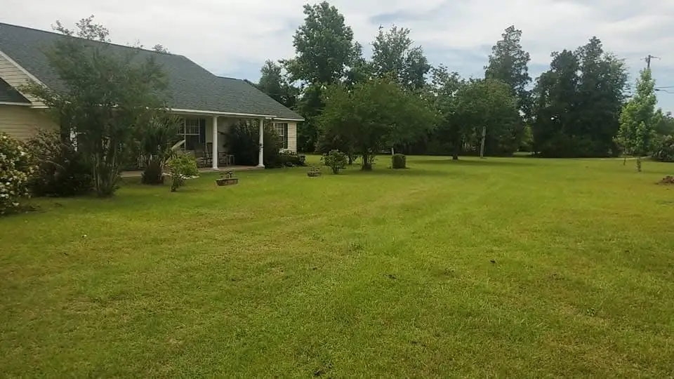 A wide open lawn freshly mowed in front of a ranch-style Panhandle home, cut clean around the beds and trees