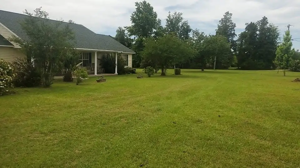 A wide open lawn freshly mowed in front of a ranch-style Panhandle home, cut clean around the beds and trees